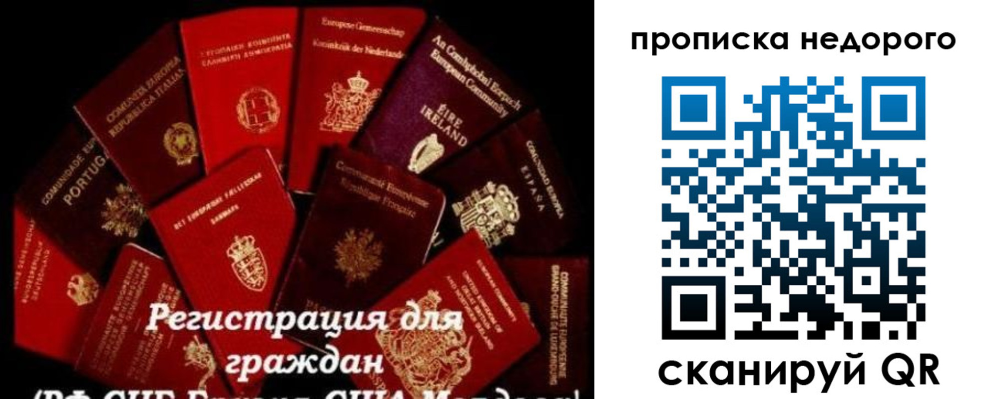 временная регистрация недорого в Ленинградской области